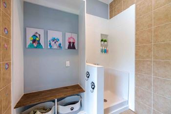 Dog spa